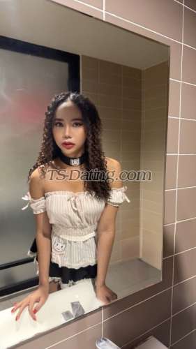 trans girl Thamita 7409125 trans girl Thamita 7409125