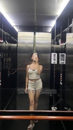 trans girl Themodernmuse 9972691 trans girl Themodernmuse 9972691