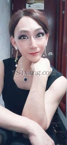 trans girl Tiffany1229CD 7398342 trans girl Tiffany1229CD 7398342