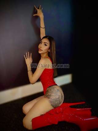 trans girl Tiffanylove 7622195