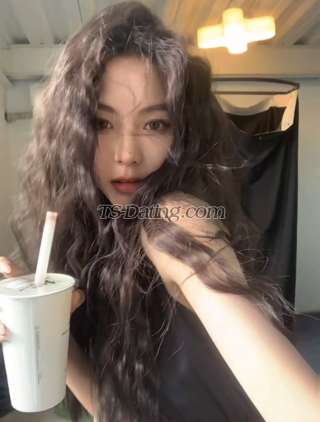 trans girl Tina520 4426782 trans girl Tina520 4426782