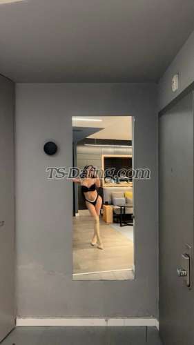 trans girl ToniF 6295817 trans girl ToniF 6295817