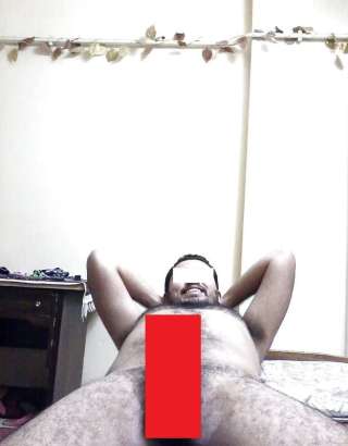 Tophornybull-1090750