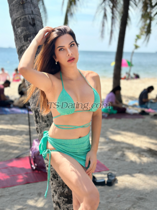 trans girl Trannyxx 0553647 trans girl Trannyxx 0553647