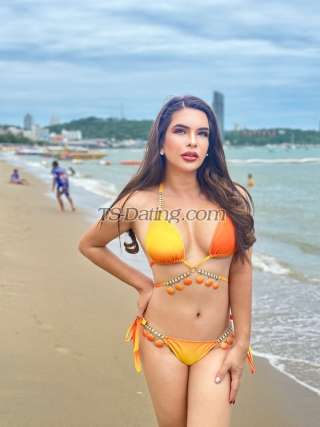 trans girl Trannyxx 1669977 trans girl Trannyxx 1669977