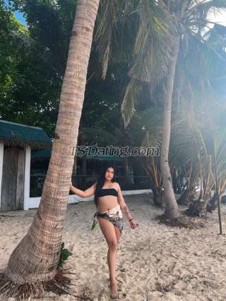 trans girl TransBigCock 8904698