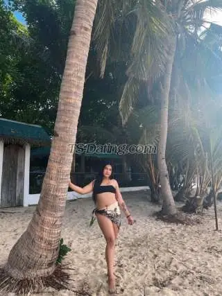 Shemale TransBigCock 8904698