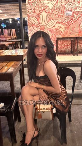trans girl TransMocha 2225551