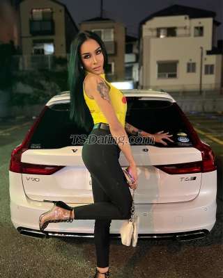 trans girl Transalodia 7414495 trans girl Transalodia 7414495