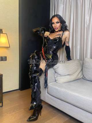 trans girl Transalodia 9685323 trans girl Transalodia 9685323