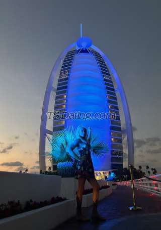 trans girl Transitalian 8438303 trans girl Transitalian 8438303