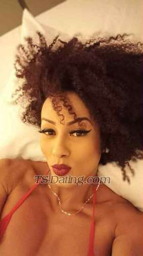 trans girl Translatina 0693262 trans girl Translatina 0693262