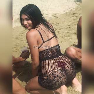 trans girl Translili 7756731 trans girl Translili 7756731