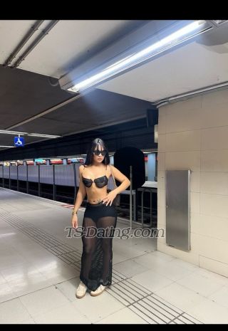 trans girl Transpamela 9172839 trans girl Transpamela 9172839