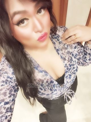 trans girl Transprinces 1749407