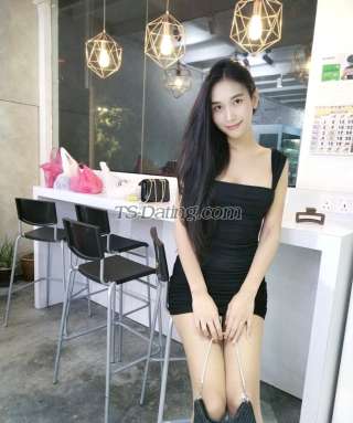 trans girl Treeyada 2584867 trans girl Treeyada 2584867