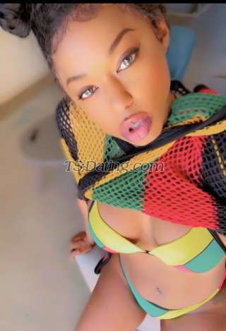 trans girl Ts Kimora 5618951 trans girl Ts Kimora 5618951