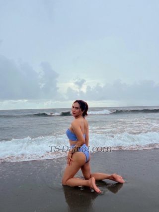 trans girl Ts7inchVersa 3101303