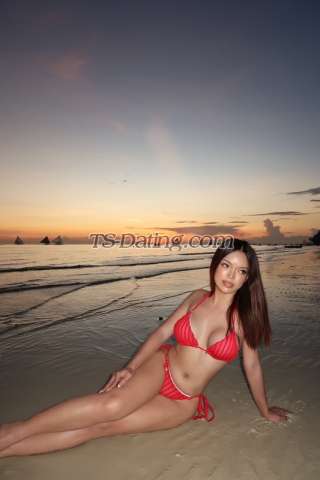 trans girl TsAdison 7323748 trans girl TsAdison 7323748