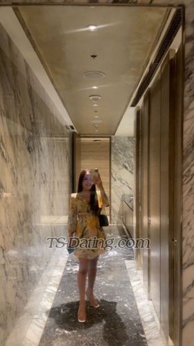 trans girl TsAngelica28 3205986 trans girl TsAngelica28 3205986