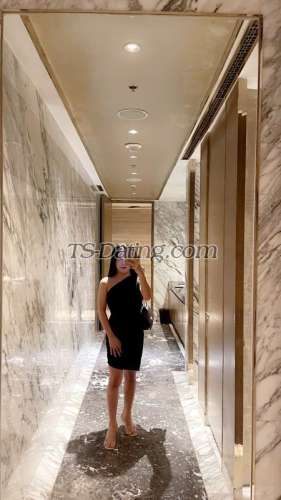 trans girl TsAngelica28 7023974 trans girl TsAngelica28 7023974