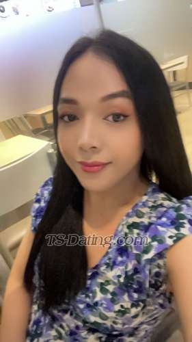 trans girl TsAngelica28 8485603 trans girl TsAngelica28 8485603