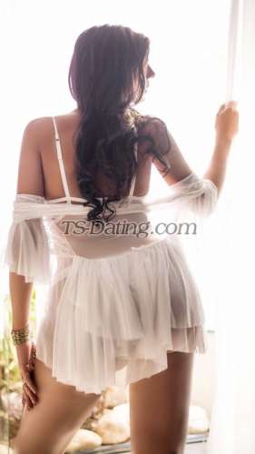 trans girl TsBigCockXXL 2400055 trans girl TsBigCockXXL 2400055