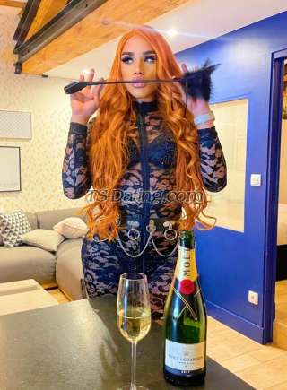 trans girl TsBrenda25 7938337 trans girl TsBrenda25 7938337