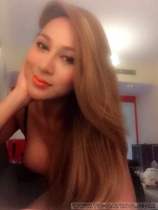 trans girl TsCareena 1996133 trans girl TsCareena 1996133