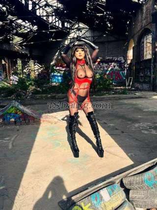 trans girl TsGabyLevint 7785338 trans girl TsGabyLevint 7785338