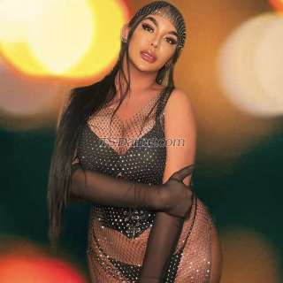 trans girl TsHailey 3943463