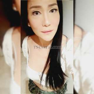 trans girl TsHazel4u 1589813 trans girl TsHazel4u 1589813