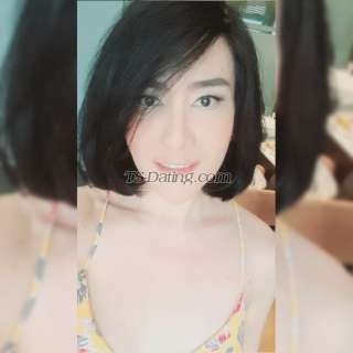 trans girl TsHazel4u 8872467 trans girl TsHazel4u 8872467