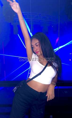 trans girl TsJasmin 2554364 trans girl TsJasmin 2554364