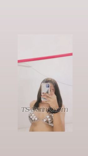 trans girl TsLillyana03 0648328 trans girl TsLillyana03 0648328