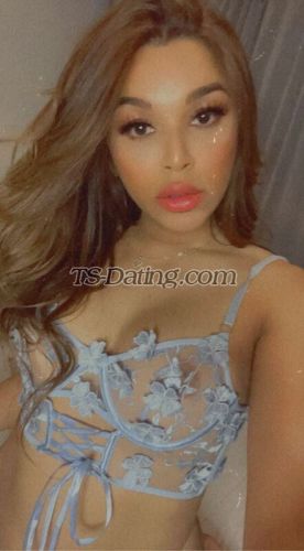 trans girl TsMoniqueX 8810458 trans girl TsMoniqueX 8810458