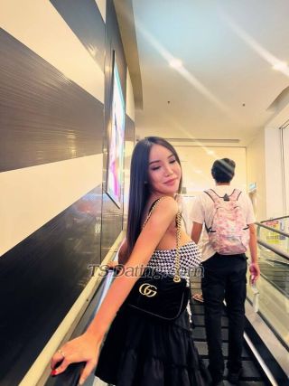 trans girl TsNewIzara 4326375 trans girl TsNewIzara 4326375