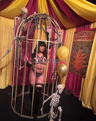 trans girl TsRosiemor 7584520 trans girl TsRosiemor 7584520