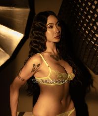 TsSarah69 Orchard Transex Big cock is back here 7.5 !🤭 you want hard fuck? Ass
or ur mouth?Message me now😜🍆💦Hello
im back🫣  Hit me up now and let's make your time extra
ordinary today! ♥️Telegram: Sam_ts202 /
+639979547309Whatsapp:
+639979547309Hey Guys im sarah ❤️
your newest and hottest voluptuous trans that will make your
entire body insanely satisfied. 🔥Fully
functional that will perfectly stretch your arse. I aint
kidding baby.. its for you to come and try this big dick
that will totally smash up your day 😉 I am a fully
functional TOP and BOTTOM that is ideal for your fantasy
desires. Take advantage of this one-of-a-kind opportunity to
schedule with one of the most amazing shemales at a special
rate. ♥️A girl with pleasing personality,
loving and irresistible body.Treat me right and lemme
cum in that slutty mouth deadly 🔥❤️I do
also camshow and selling videos content