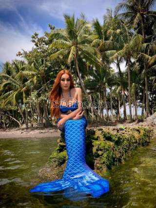 trans girl TsShane 9525517 trans girl TsShane 9525517