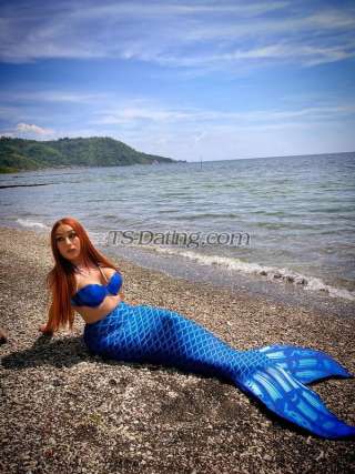 trans girl TsShane 9525532 trans girl TsShane 9525532