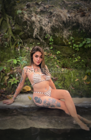 trans girl TsWildhottier 6470959 trans girl TsWildhottier 6470959