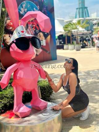 trans girl TsXPatricia 3807031 trans girl TsXPatricia 3807031