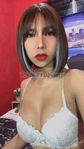 trans girl TsXPatricia 7804421 trans girl TsXPatricia 7804421
