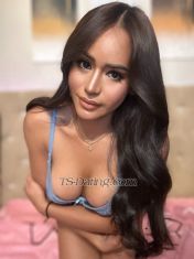 TsYhumie Yokosuka Transex Wanted to do unforgettable Hot great 
Camshow or else have me for real in meet pm me directly 😘now in yokosuka😘 YOUR FULLY FUNCTIONAL TS YHUMIE💋
Watsapp +639951668049
club.fans/tsyhumie
Vibr + 639951668049
Wechat Yhumie_ts
Telegram @yhumie123
Instagram yhumie.moral
Line yhumie_26

https://luvi.fans/tsyhumie

https://alua.com/tsyhumie

ONE ON ONE SENSUAL EXPERIENCE WITH ME IN MY PRIVATE ROOM EVERY MINUTE IS WORTH UR PENNIES.
AND AN UNFORGETABLE EXPERIENCE AWAITS YOU ! HIT ME ON WHATSAPP NOW ! AND SEE WHAT IS WAITING FOR YOU!

Are you looking for real good fucker / sucker with complete package you want ? MY 7 INC BIG DICK FULLY FUNCTIONAL IS SO FULL ! ALWAYS WANT TO EXPLODE ! IM READY TO MAKE U CUM AND IM ALWAYS READY TO CUM ! I DONT TAKE HORMONES THATS WHY U WILL SEE MY BIG DICK WORKING FUNCTIONALLY !


​Warning ⚠️⛔️
- I HATE CHEAP
- NO CONDOM NO FUCK
- I HATE BAD BREATH

NO ONE DESERVES TO BE CHEATED ON! SO
STRICTLY NEED VERIFICATION FIRST IF YOU DONT COOPERATE ! DONT MESSAGE ME !

I love to hear about your fantasies and enjoy exploring them with you. I guarantee a happy ending ! Everyone has a dark side. now get on mine ! Innocent looking and yet so MANIAC!

I'm a Full time Trans from your HEART ! who enjoys making people horny! I love it when guys spoil me & please me. Im always horny and can cum multiple times a day. My day wont be complete w/o cumming a day.. my mission is to please you i anyway i can. i'm always willing to do all your wishes and fetishes.

I WORK IN A PORN SITES AND I TALK WITH DIFFERENT PEOPLE FROM DIFFERENT COUNTRY AND DIFFERENT NATIONALITY I KNOW HOW TO DEAL WITH THEM AND I KNOW WHOS INTERESTED AND NOT!



Before I Doing escort i work for almost 6years as a CamModel To All Cam Site ❤️ Its Your Chance To Feel and Have Me For Real ! I know how to handle everyone fetishes and kinky stuff !


beauty with brains to match! Sexy, Sensual and equally Naughty. I love to hear about your fantasies and enjoy exploring them with you. I guarantee a happy ending ! I like naughty pleasures with good gentleman. Lets bring my evil side that is burning behind my angel appearance. I want to get to know you and curious to see how much of a good and naughty time we can have! I'm a Full time Trans from PHILIPPINES who enjoys making people horny! I love it when guys spoil me & please me. Im always horny and can cum multiple times a day. My day wont be complete w/o cumming a day.. my mission is to please you i anyway i can. i'm always willing to do all your wishes and fetishes. i like roleplay, anal, toys, eating my cum, sucking, come on and try me. let's enjoy our time together



WANNA BE SATISFIED EVERY Penny you spent? COME AND BOOK ME AND HAVESOME FUN ! LETS MAKE YOUR IMAGINATION FOR REAL ! AND SEE HOW I CAN HANDLE YOUR FETISH !


What are you waiting for , message me on whatsapp now ! SEEYOU!!

>Versatile but prefered top
>137 lb./62kg with sexy fit body
>5feet, 8inches 170.70cm tall
>model
>morena skin
>7inches /17.78cm cut 2.5 inches width

All kind of sex i can make, just tell me what you like and let me give what you want just lets get safe always.. I will be ready for all

22 First timer  need not to worry enticing right? Come and get me. I am. Yhumie
clean very fast hard ladyboy and negative. I am gunuine, elegant.. I am ready to please you strictly at an hourly rate anytime anywhere. I can travel whever you are and give you the comfort more than you could ask for. Iwould be glad to be part of your fantasy

picture you see is 101% me so / what you see is what you get 
 
Hope to see you soon guys love yha😘😘