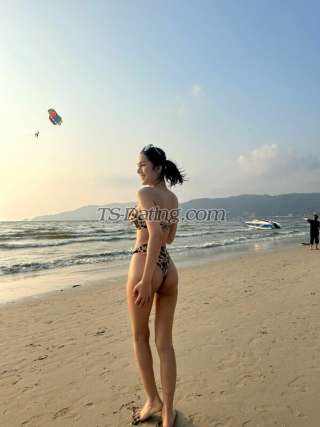 trans girl Tsbella 2089936 trans girl Tsbella 2089936