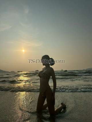 trans girl Tsbella 2089957 trans girl Tsbella 2089957