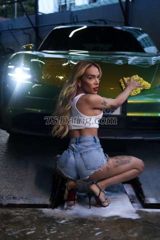 trans girl Tscarolbr 7323521 trans girl Tscarolbr 7323521