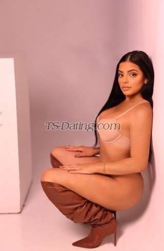 trans girl Tscarolinebr 7683843 trans girl Tscarolinebr 7683843