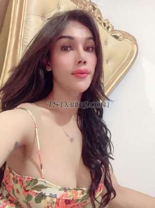 trans girl Tschintya 2509701 trans girl Tschintya 2509701